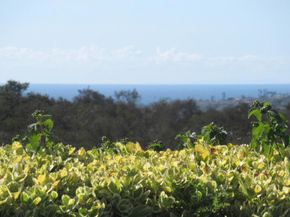 4125 Arcadia Way, Oceanside CA 92056