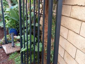 5544 Mill Creek Road, San Diego CA 92130