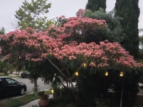 5544 Mill Creek Road, San Diego CA 92130