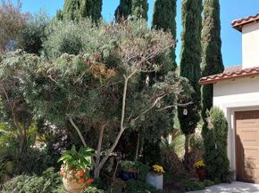 5544 Mill Creek Road, San Diego CA 92130