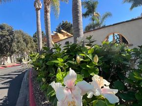 4241 Loma Riviera Lane, San Diego CA 92110