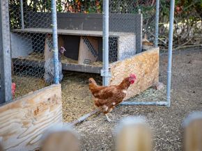 1467 Ronda Place, Escondido CA 92027