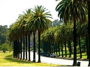 909 New Depot Street 1516, Los Angeles CA 90012