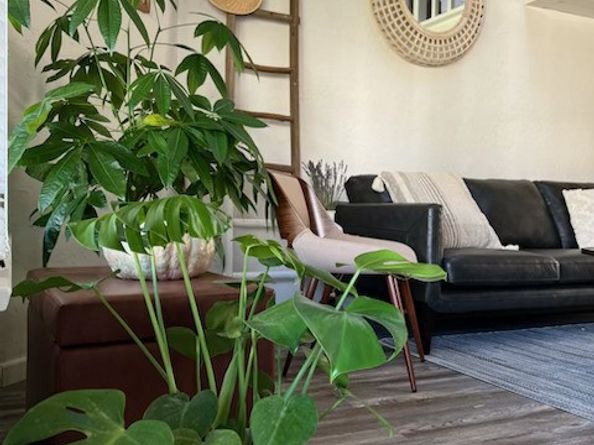 5901 E Ocean Boulevard, Long Beach CA 90803