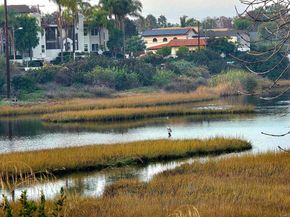 2666 Worden 8, San Diego CA 92110