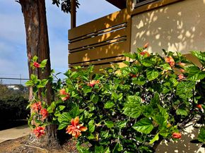 2666 Worden 8, San Diego CA 92110