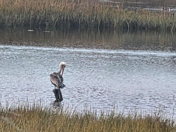 2666 Worden 8, San Diego CA 92110