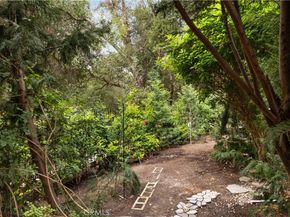 23591 Via Paloma, Coto de Caza CA 92679