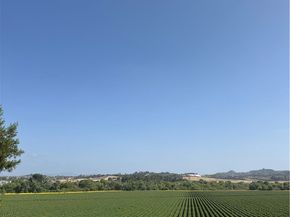 5392 Gooseberry, Oceanside CA 92057