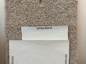 17050 Luminous Lane, Hockley TX 77447