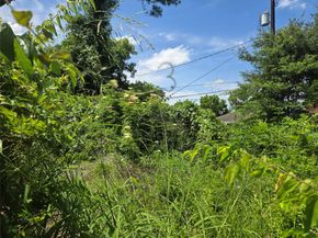 4209 Bell Street, Houston TX 77023