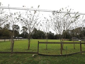 16890 Porter Lane, Porter TX 77365