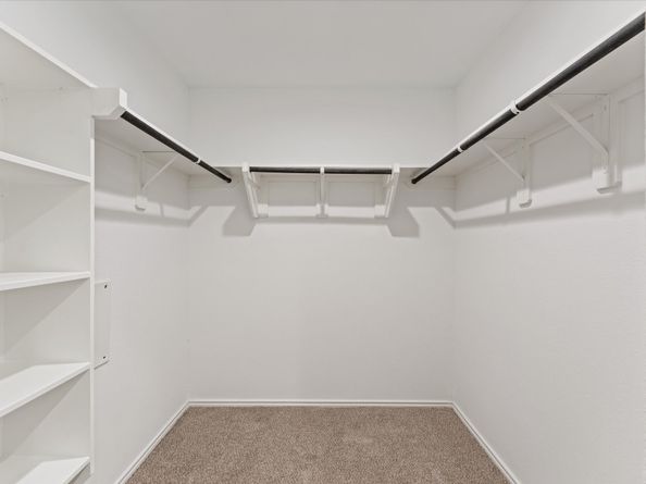 24210 Sandstone Valley Lane, Spring TX 77373