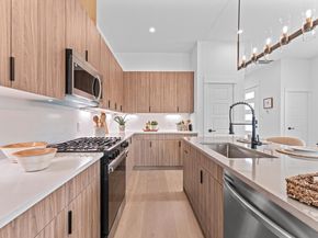 1009 Tuskegee Heights Lane, Houston TX 77091