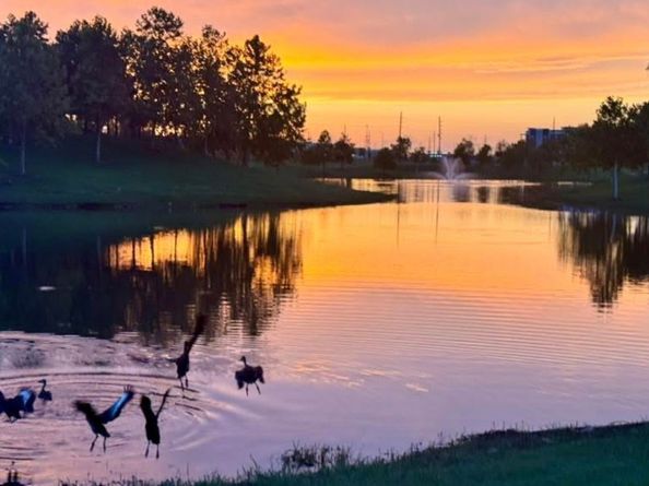 17207 Kilmahew Place, Richmond TX 77407