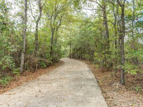 3208 Bushy Hawthorne Drive, Conroe TX 77301