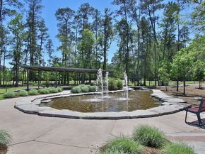 202 Sierra Stream Lane, Conroe TX 77304