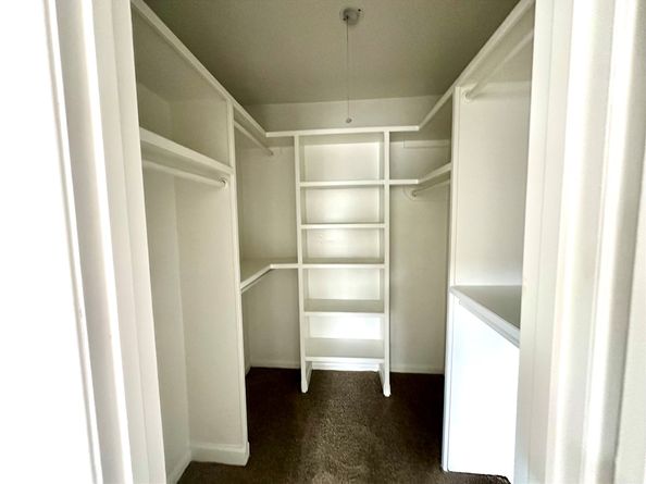 3123 Ashford Arbor Drive, Houston TX 77082