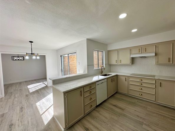 3123 Ashford Arbor Drive, Houston TX 77082