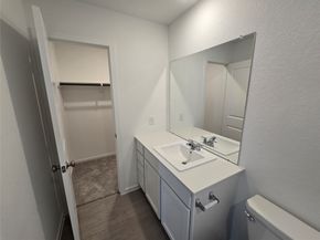 21519 Willow River Canyon Lane, Waller TX 77484