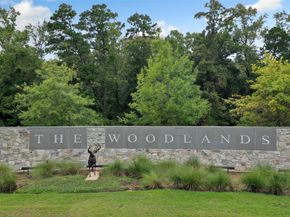 42 Shallowford Place, Tomball TX 77375