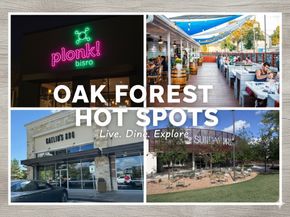 4422 De Milo Drive, Houston TX 77092