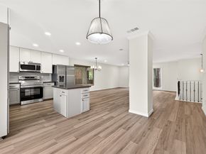 2 Kittiwake Court, Spring TX 77380