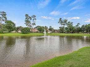 16610 Champagne Falls Court, Spring TX 77379