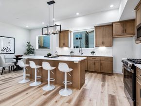 3209 St Emanuel Street B, Houston TX 77004