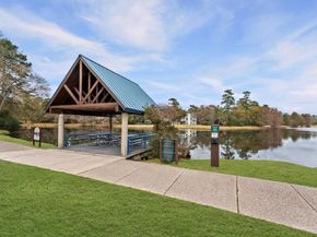 65 Indian Clover Drive, The Woodlands TX 77381