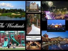 66 N Brooksedge Circle, The Woodlands TX 77382