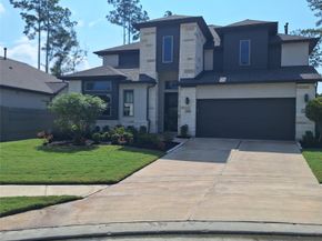 17827 Parnassum Path, Conroe TX 77302