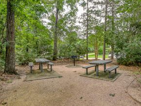 74 W Tapestry Park Circle, The Woodlands TX 77381