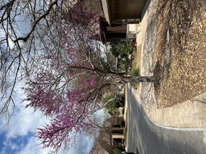 9550 Savannah Ridge DR 37, Austin TX 78726