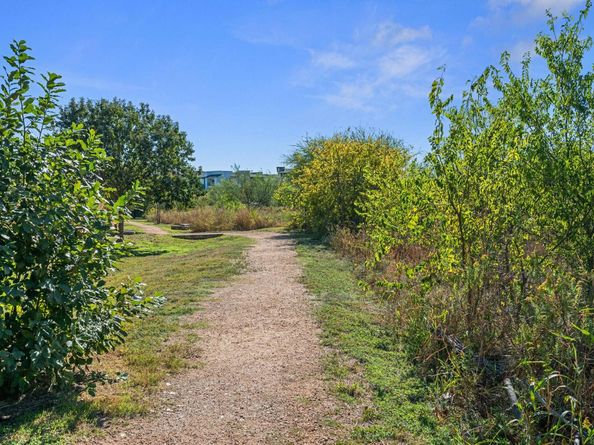 14712 Lake Victor DR, Pflugerville TX 78660