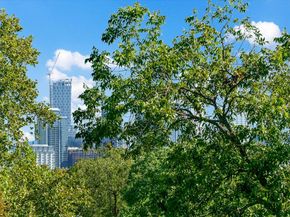 1006 Elm ST, Austin TX 78703