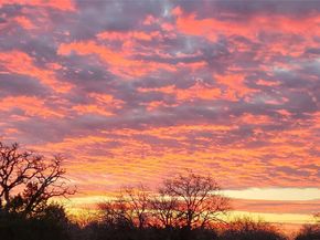 2937 Desert Candle DR, Round Rock TX 78681