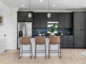 1167 Bedford ST, Austin TX 78702