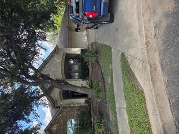 2102 Spotted Owl CIR