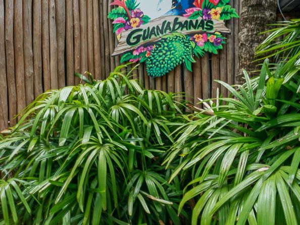 3334 W Mallory Boulevard, Jupiter FL 33458