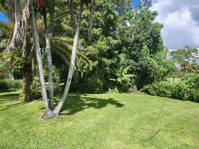 486 Cypress Green Cir, Wellington FL 33414