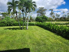 486 Cypress Green Cir, Wellington FL 33414