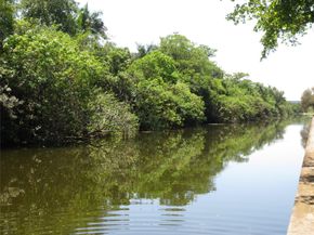 102 Royal Park Dr 3F, Oakland Park FL 33309