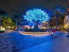 550 Okeechobee Boulevard 1221, West Palm Beach FL 33401