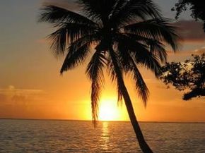 1900 S Ocean Dr 312, Fort Lauderdale FL 33316