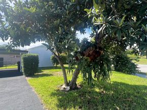 1319 Crest Drive, Lake Worth Beach FL 33461