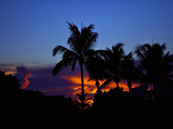 811 Oak Harbour Drive, Juno Beach FL 33408