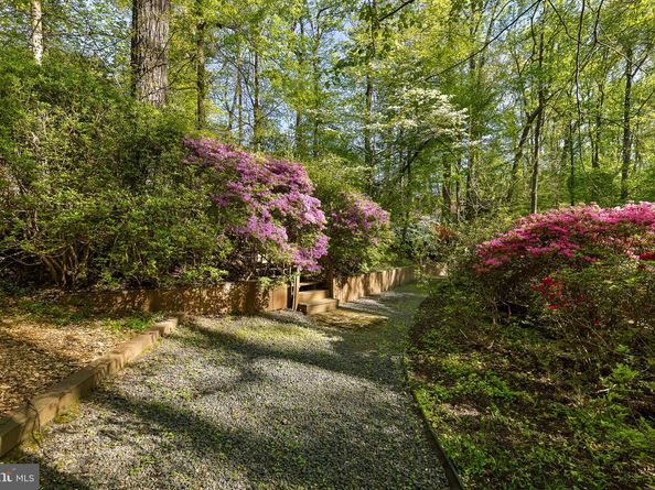 3440 Mansfield Road, Falls Church VA 22041