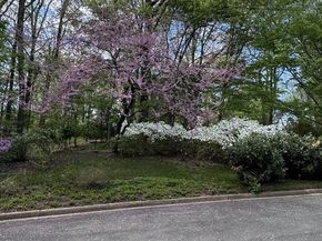 700 Belgrove Road, Mclean VA 22101