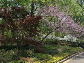 700 Belgrove Road, Mclean VA 22101